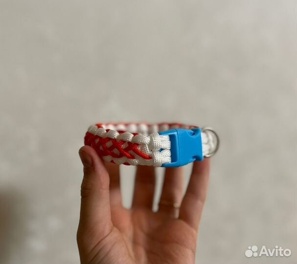 Ошейник для собак