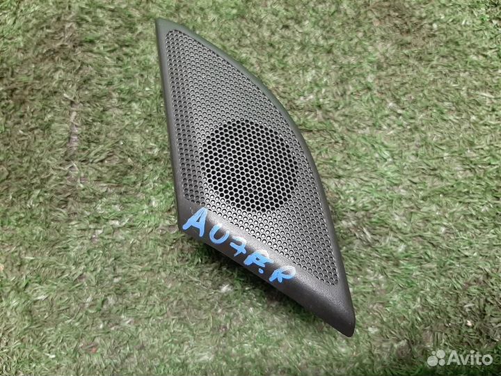 Динамик Opel Antara 2014