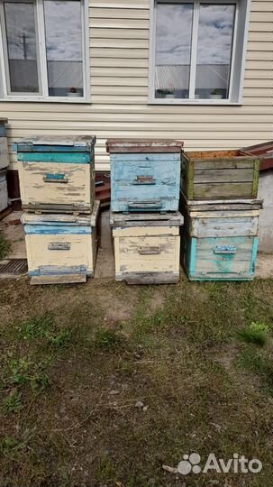 Ульи для пчел бу