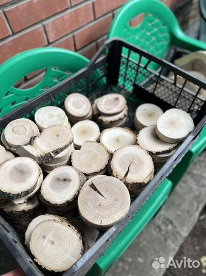 Спилы дерева