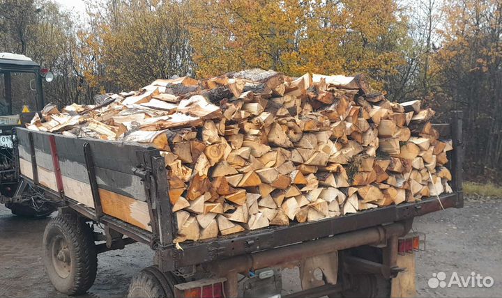 Дрова летней заготовки