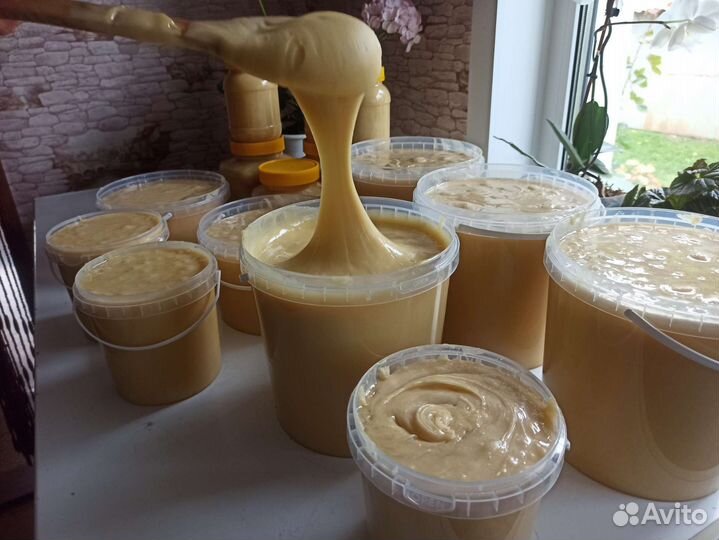 Майский мед 2023. Первая качка