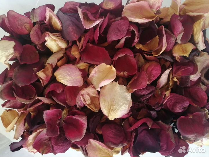 Сухие лепестки роз, бутоны