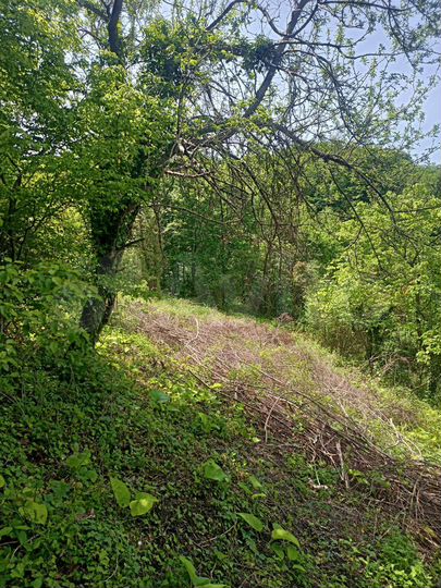 Участок 7,1 сот. (ИЖС)