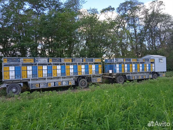 Прицеп пчеловоз, 2010