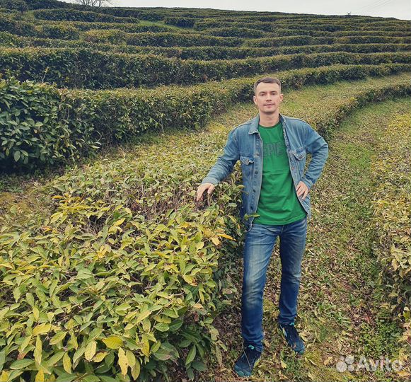 Ремонт Холодильников (Опытный мастер)