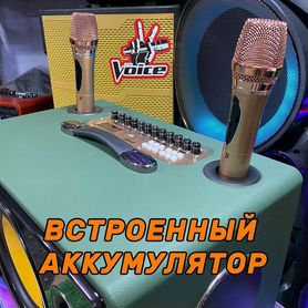 Колонка baab 1000 с караоке и микрофоном
