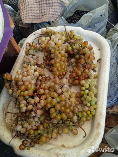 Продукты питания