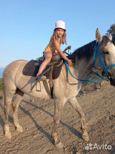 Конные прогулки