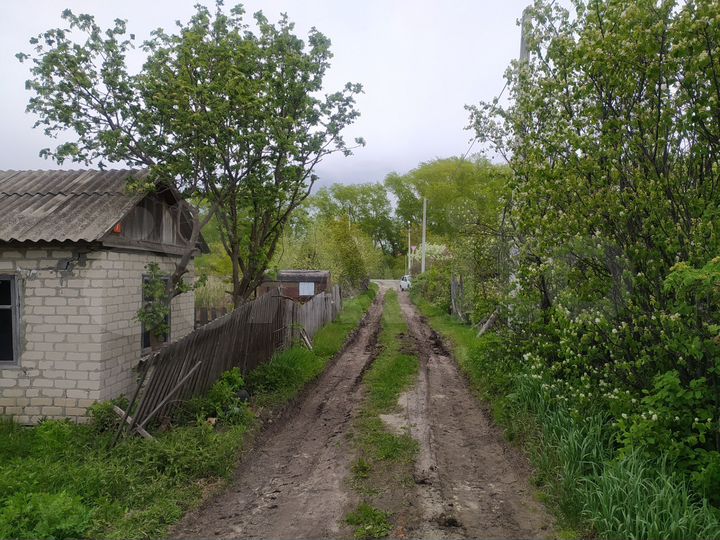 Участок 3,6 сот. (СНТ, ДНП)