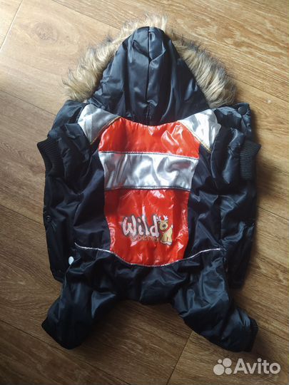 Одежда для маленьких собак