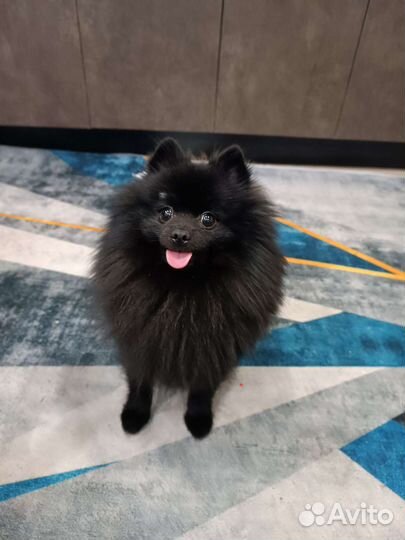 Вязка. Кабель развязанный