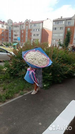 Букет ромашек цветы доставка