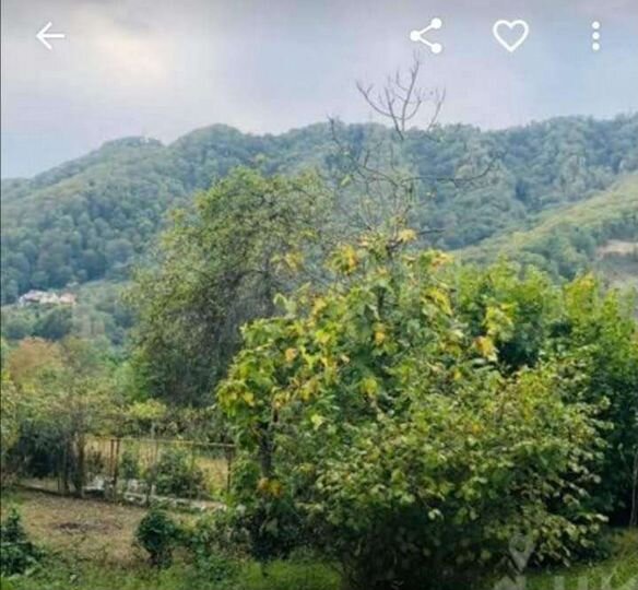 Участок 12 сот. (ИЖС)