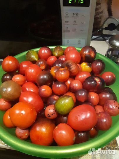 Семена и рассада экзотических сортов томатов