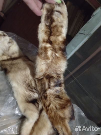 Шкурка зайца