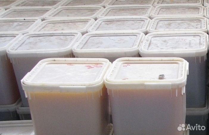 Мед натуральный из Алтая оптом минимально 16 кг