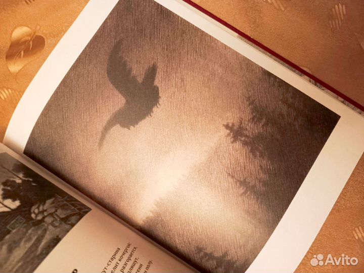 Теодор киттельсен черная смерть