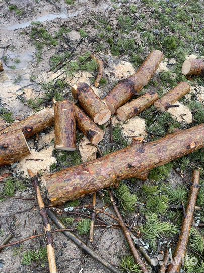Дрова бесплатно самовывоз