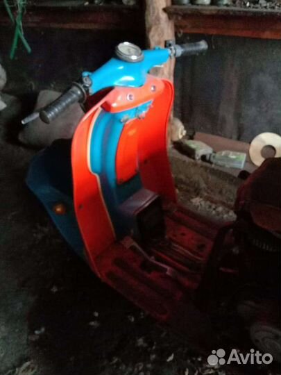 Муравей Моторолер