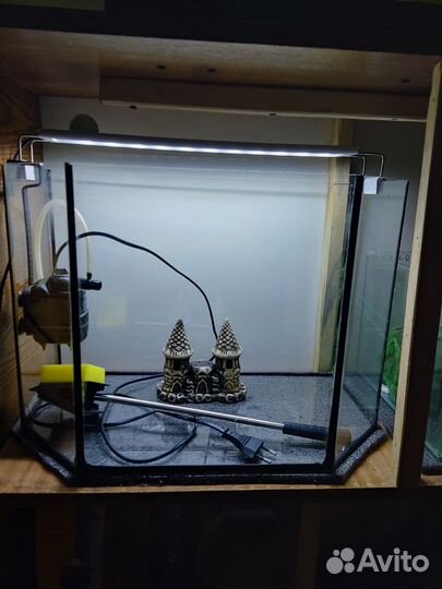 Аквариум