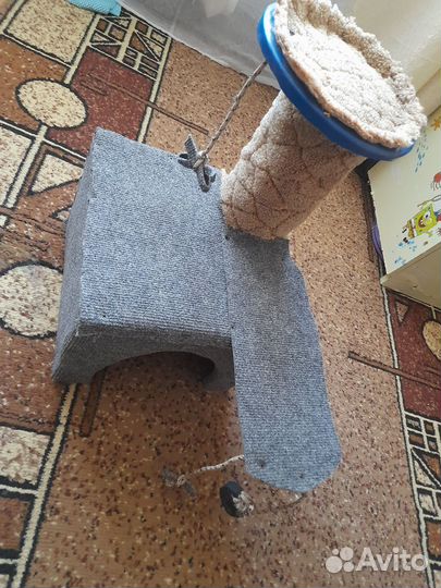 Когтеточка