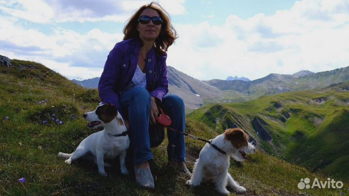 Кинолог с выездом / Дрессировка собак