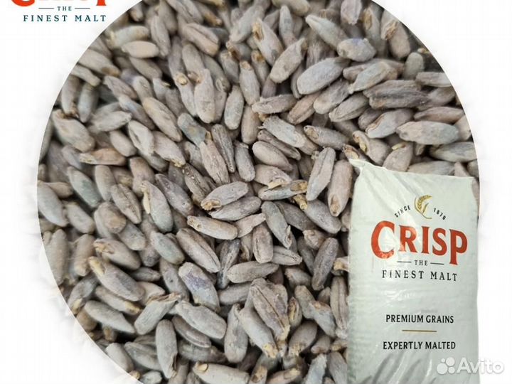 Солод Rye Malt 2-4 EBC (crisp malt) (Великобритан
