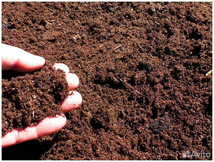 Конский коровий навоз перегной в мешках