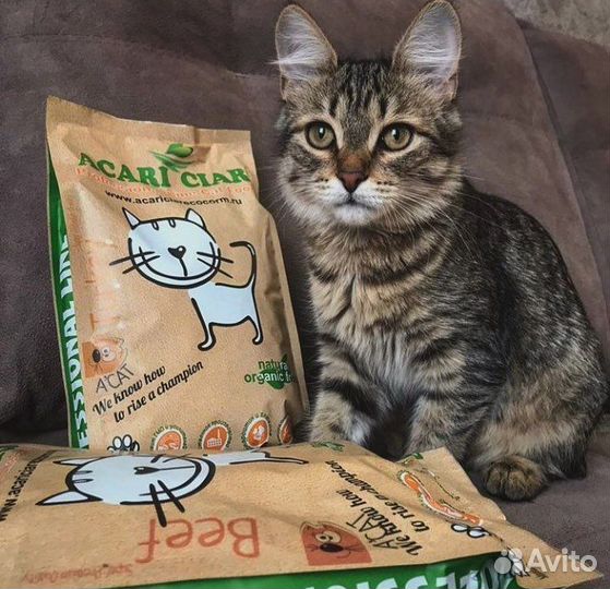 Корм для кошек