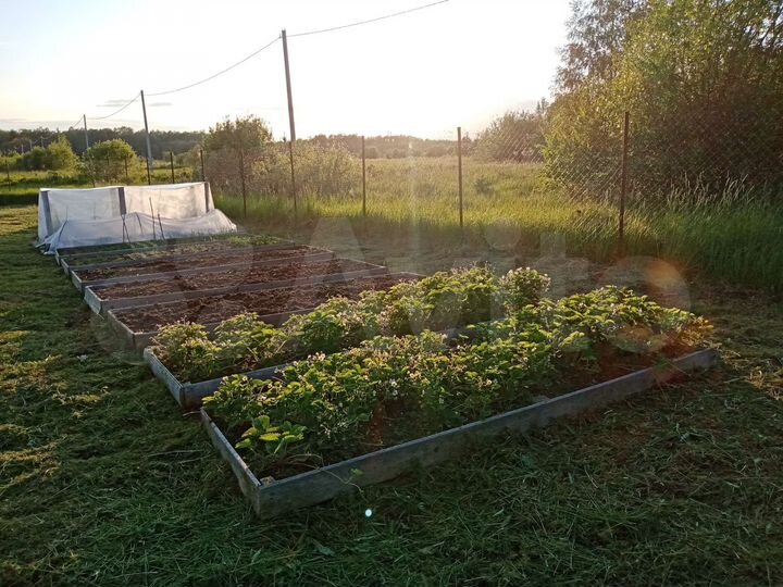 Участок 16 сот. (СНТ, ДНП)