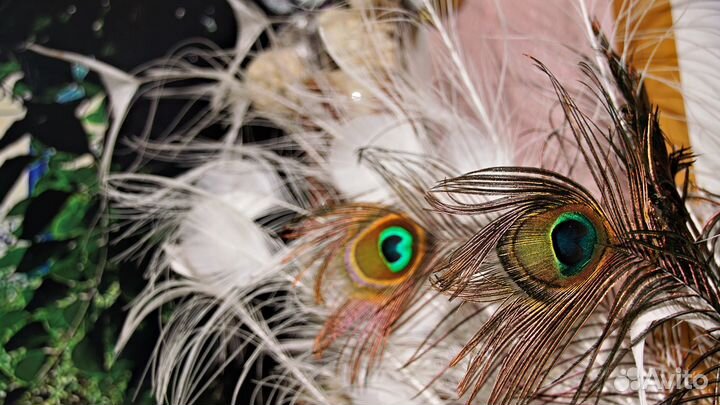 Перо павлина