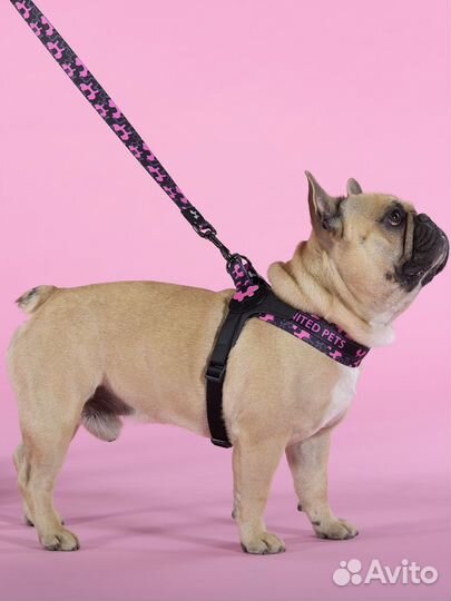 Шлейка United Pets для собак Complete me Identity