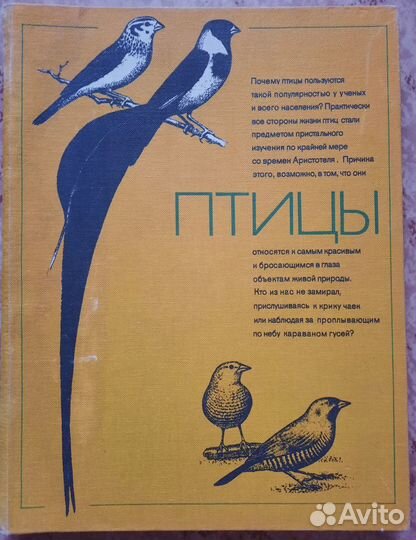 Птицы. С введением Б. Уилсона