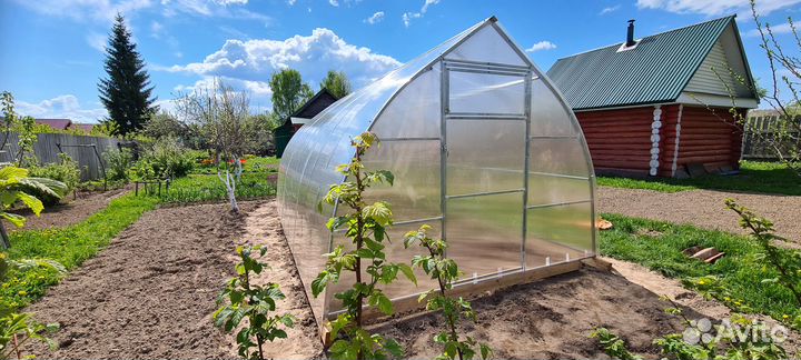 Теплицы 