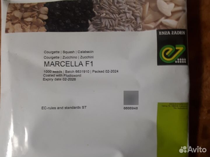 Семена кабачка 