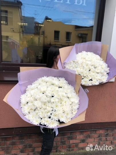 Кустовые хризантемы, стойкость от 2 недель