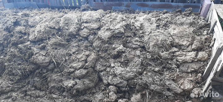 Навоз коровяк