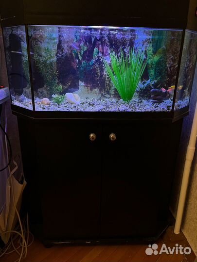 Аквариум 90 литров