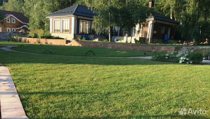 Рулонный газон с доставкой