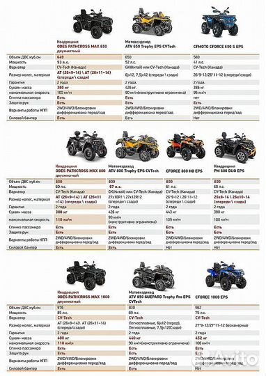 Квадроцикл aodes pathcross MAX 800 XE