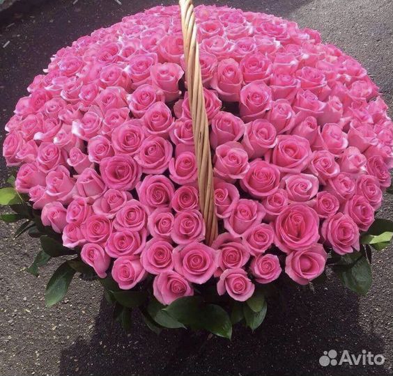 Розы 101 51 25 Сочи Адлер доставка купить цветы