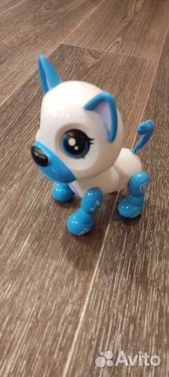 Умный щенок