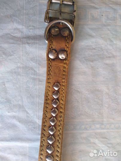 Ошейник на крупную собаку