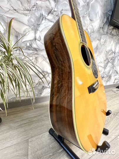 Гитара акустическая Morris W25 made in Japan