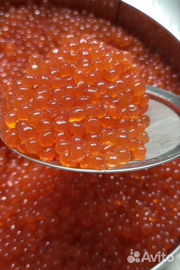 Красная икра оптом. Доставка по РФ