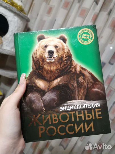 Энциклопедия