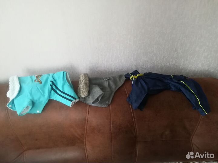 Одежда для собак мелких пород