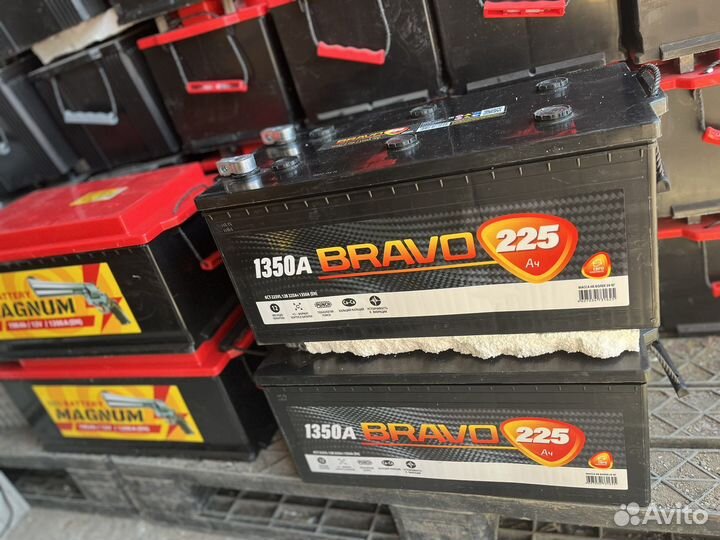 Unix professional 225 ач