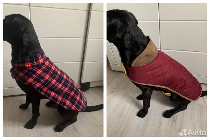 Попона утепленная для средних собак